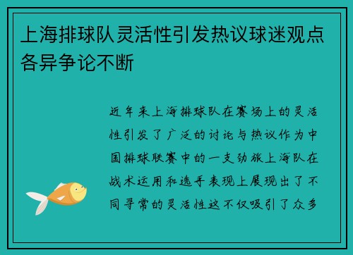 上海排球队灵活性引发热议球迷观点各异争论不断