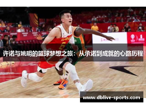 许诺与姚明的篮球梦想之旅：从承诺到成就的心路历程